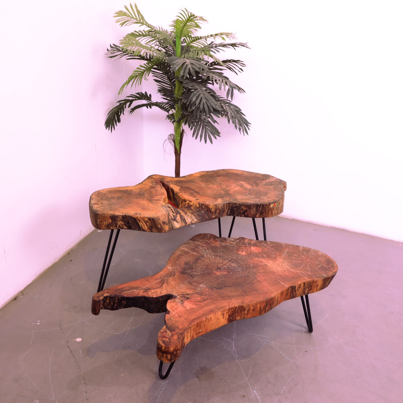 Mango Live Edge Table